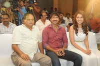 Jil Movie Success Meet Photos